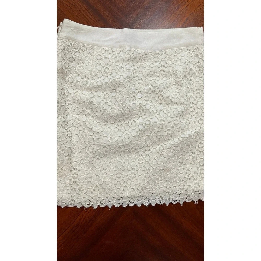 The Limited Ivory Lace Pencil Mini Skirt Size 4 Cottagecore Chic Lined